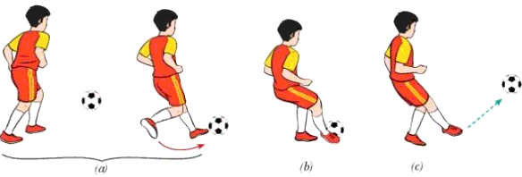 Phân tích kĩ thuật đá bóng bằng lòng bàn chân trong bóng đá