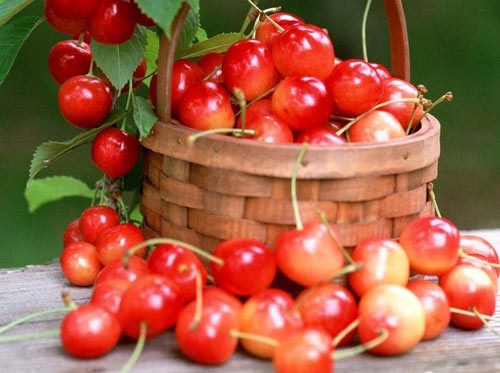 5 loại trái cây màu đỏ có lợi cho sức khỏe | Báo Hà Tĩnh