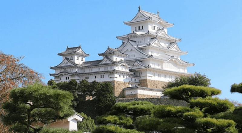 kinh nghiệm du lịch Nhật Bản theo tour